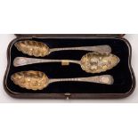 A pair of George III and later decorated berry spoons, maker Solomon Hougham, London,