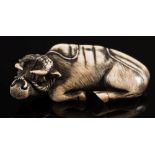 A 20th century Japanese carved ivory and stained netsuke of a reclining oxen: with a rope tied to
