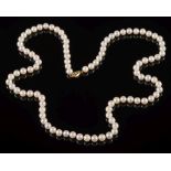 A cultured pearl single-string necklace: with 93 cultured pearls, largest pearl approximately 6.