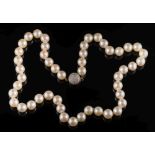 A cultured pearl single-string necklace: composed of forty-eight cultured pearls ranging 8.9mm to 9.