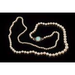 A cultured pearl single-string necklace: with 132 pearls graduated from 4mm diameter to 8mm