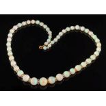 WITHDRAWN FROM FS35 A graduated opal and crystal bead single string necklace: with 52 opal beads