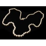 A cultured pearl single-string necklace: the cultured pearls graduated from 2.9mm diameter to 6.