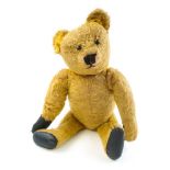 An early 20th century golden plush Teddy bear:, with boot button eyes ,