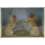 An early 20th century cased set of anthropomorphic hares:, each wearing a straw boater,