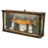 A late 19th/early 20th century cased preserved baby pike:, unsigned,