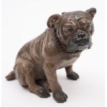 An Austrian cold painted spelter everlasting match in the form of a Bulldog:, 13cm high.