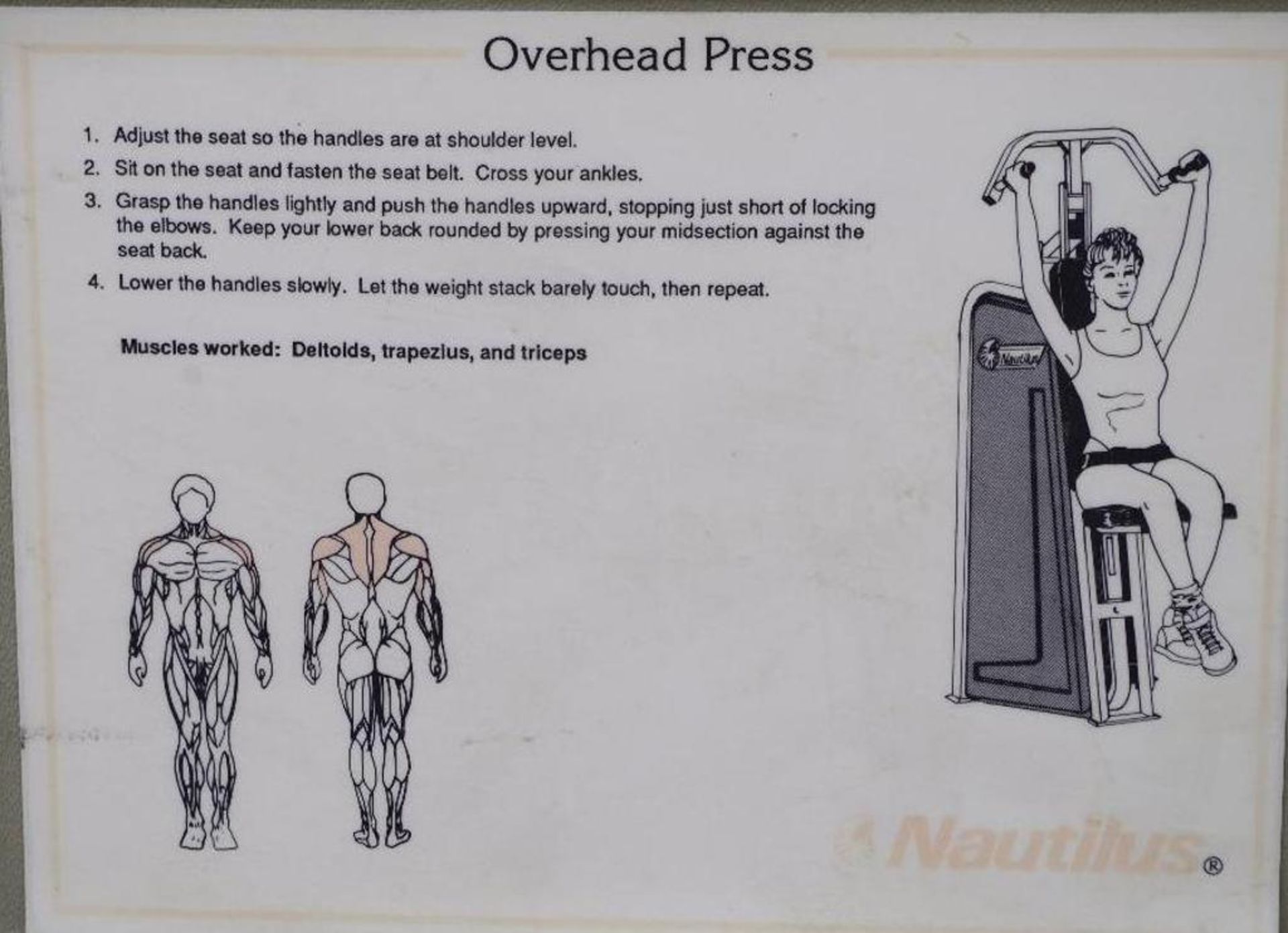 NAUTILUS Overhead Press - Image 4 of 4