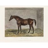 James Barenger (1780-c.1831) - Muley 13,5*19 cm, Radierung auf Papier, Verlag: M.A. Pittman, Warwick