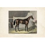 Richard Parr, 19. JH - Cyprian 14*20 cm, Radierung auf Papier, Verlag: London, 1836, Published for