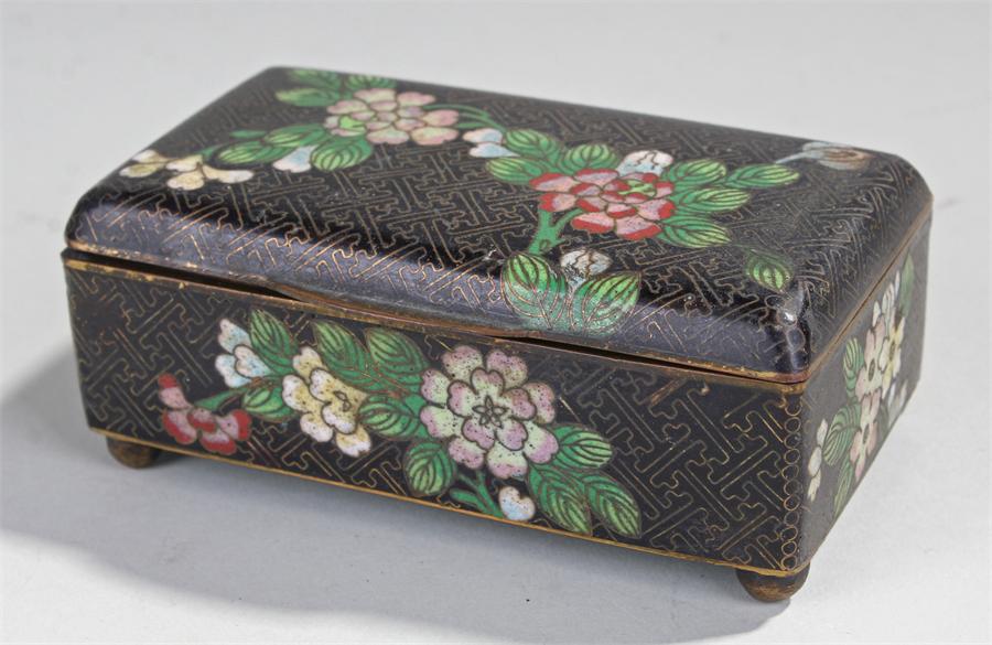 Early 20th Century cloisonné box, decorated with flowers on a black ground