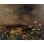 Anthony Egan, a moonlit landscape with plant formations, signed, oil on board 67x55cm