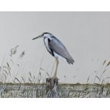 Peter Hayman (20th Century) Heron on a stump, watercolour, signed, 45cm x 36cm excluding mount and