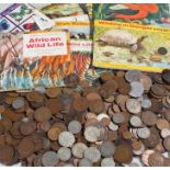 Collection of coins, to include pre 1947 Florins and Shillings, a large quantity of copper coins and
