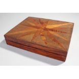 Rare late 19th Century New Zealand specimen wood box, almost certainly William Norrie, the star
