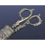 Pair of French 19th Century brass and steel scissors, the handles with lion mask and scroll