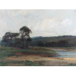 Kershaw Schofield (1872-1941) Cows in a pasture, signed oil on canvas, 60cm x 45cm