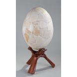 Giant Elephant bird egg (Aepyornis Maximus), made from the shards collected in Madagascar, raised on