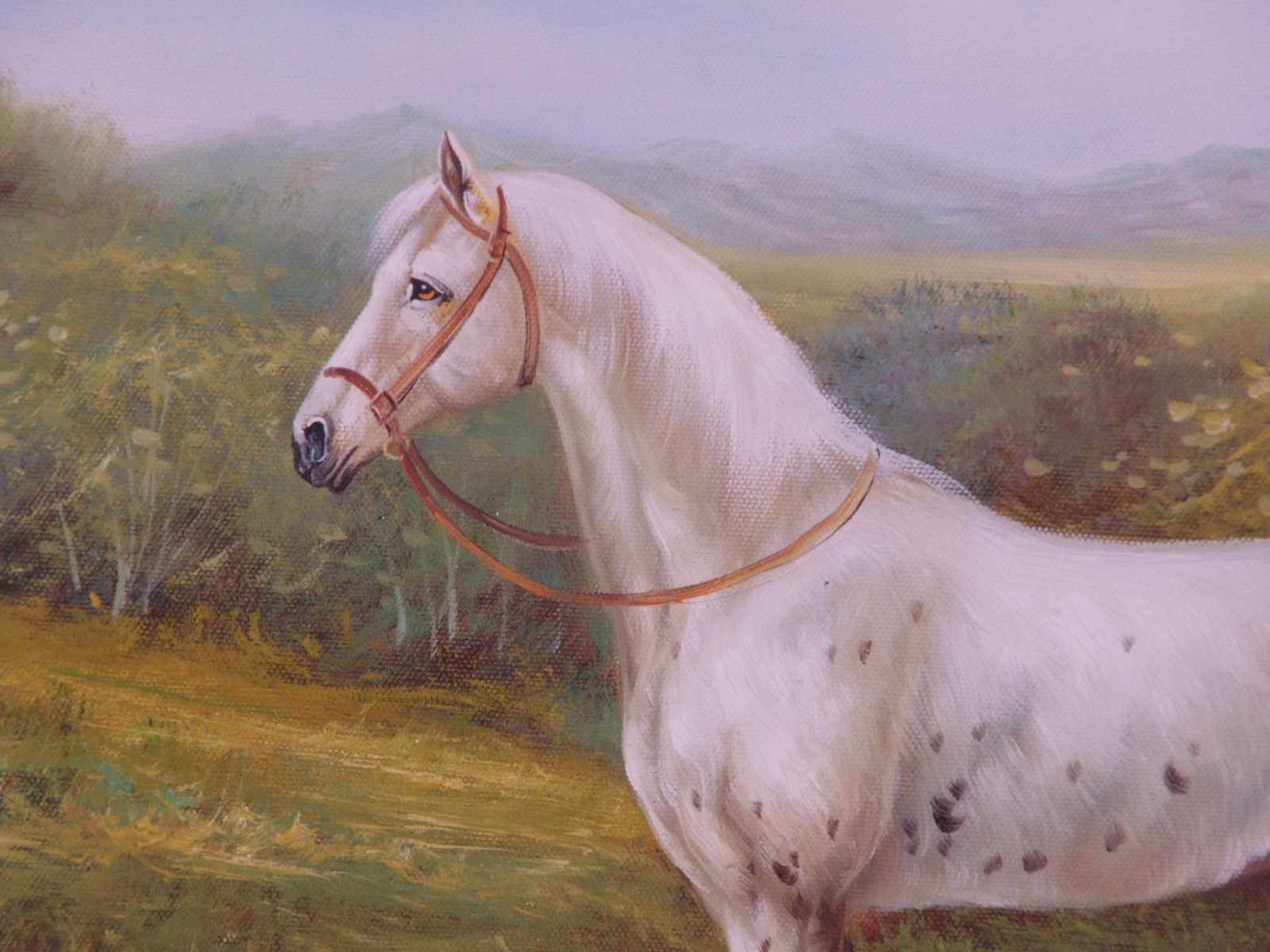 Anonym - Weißes Pferd in Feldlandschaft mit einem Gebirgszug im Hintergrund, Öl auf Leinwand, ca. - Bild 3 aus 3
