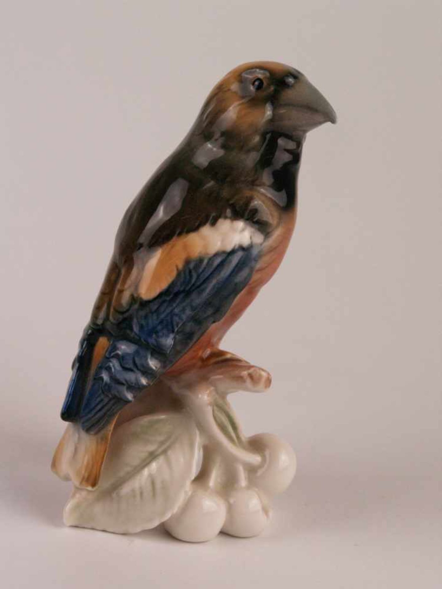 Vogelfigur Goebel - Porzellanfigur, Raubvogel auf Kirschzweig mit Früchten sitzend, naturalistisch