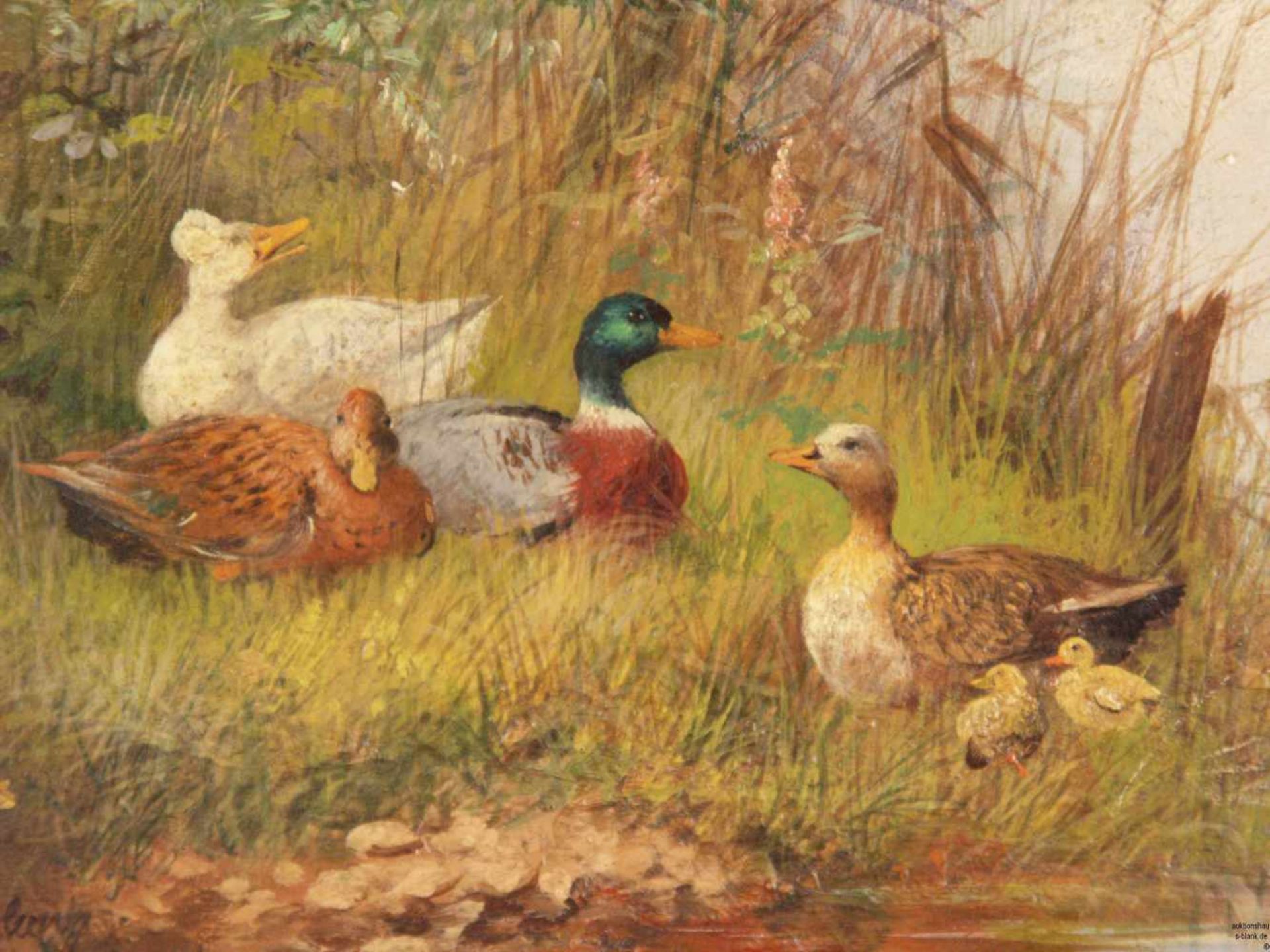 Frank-Colon, Eugen (um 1900/Tiermaler in Düsseldorf und München) - Entenfamilie am Flußufer, Öl - Bild 3 aus 5