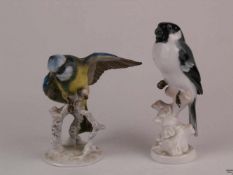 Zwei Vögel Rosenthal - Porzellan, glasiert, naturalistisch bemalt, 1x Blaumeise auf Ast sitzend,