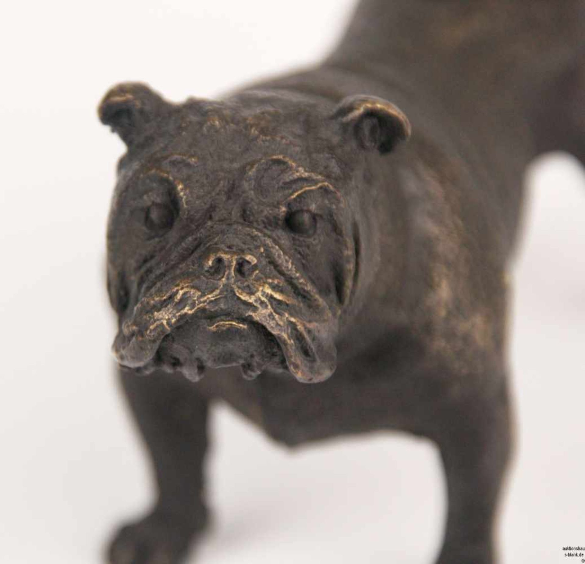 Milo - Bronzefigur "Bulldogge", Bronze, braun patiniert, signiert "Milo", vollplastische - Bild 4 aus 4