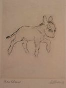 Sintenis, Renée (1888 Glatz - 1965 Berlin) - Kleiner Esel, Radierung, unter der Platte rechts