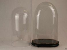 Zwei große Glasstürze - 1x runde Form (H:ca.45cm/Dm.ca.24cm),1x bogenförmig mit flachen Seiten und