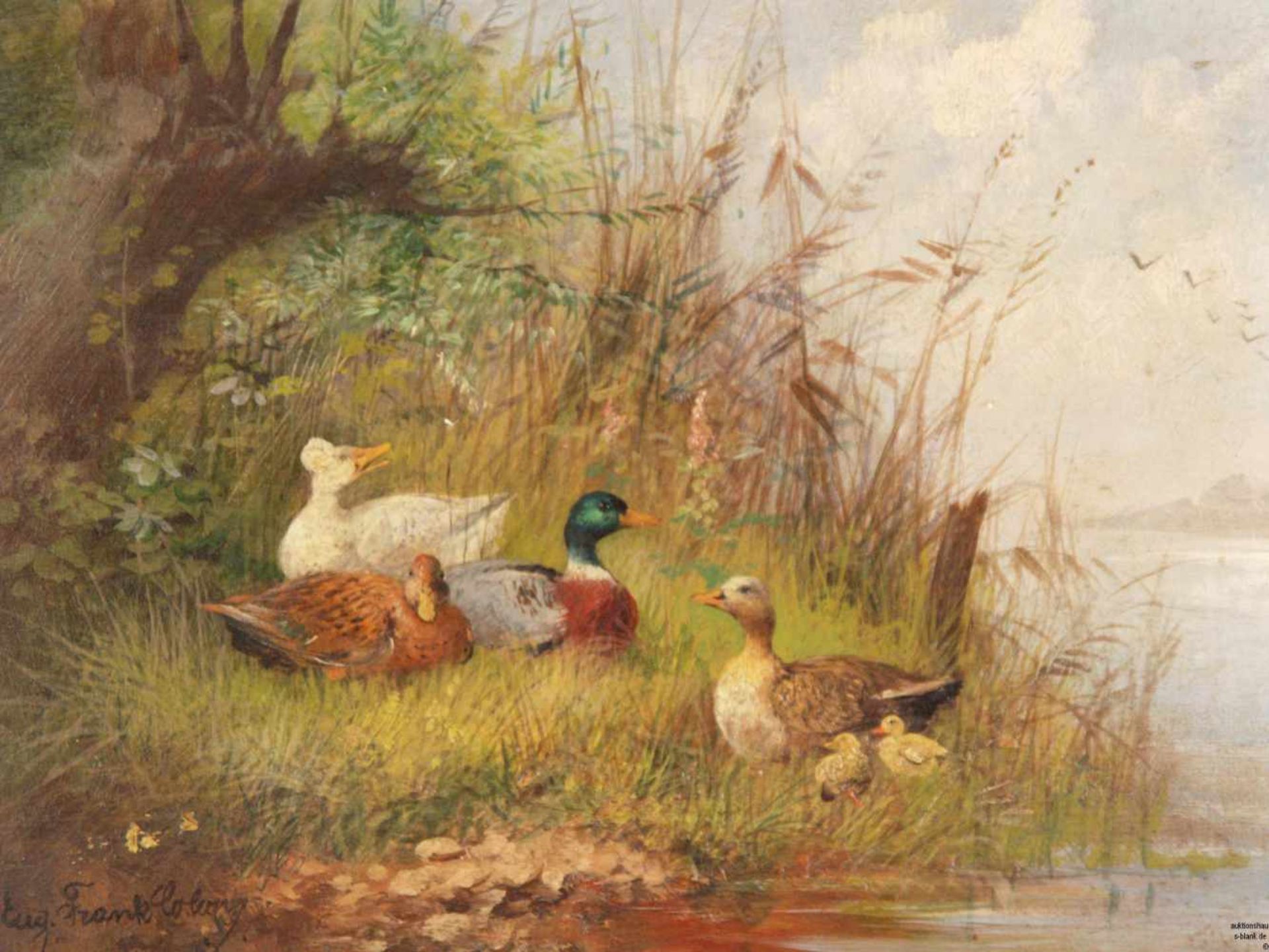 Frank-Colon, Eugen (um 1900/Tiermaler in Düsseldorf und München) - Entenfamilie am Flußufer, Öl