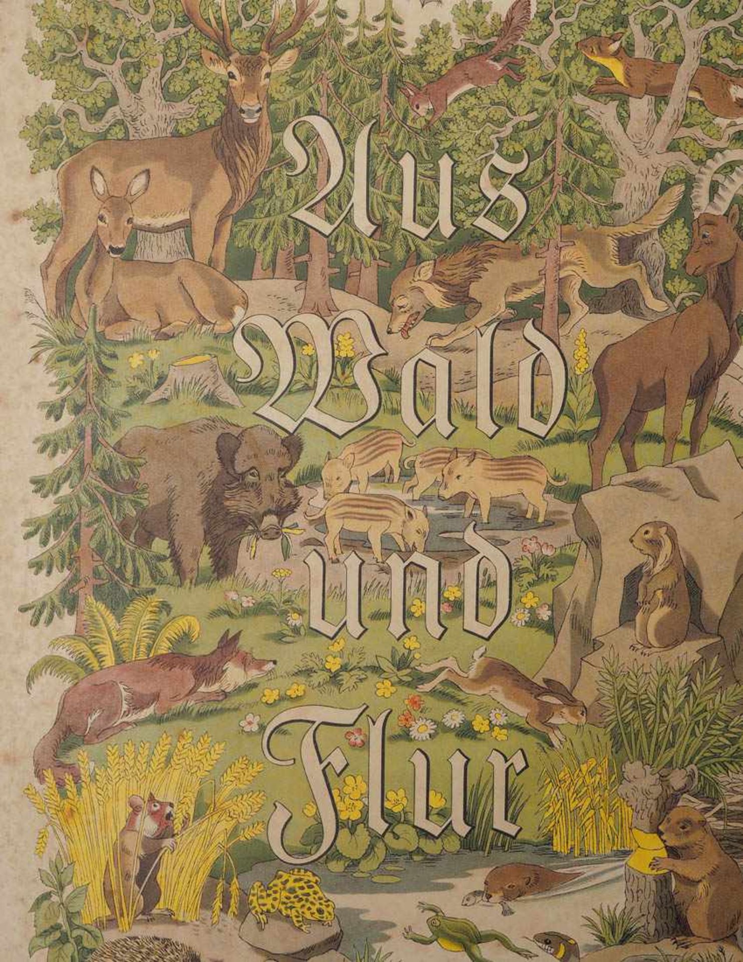 Vier Zigarettenbilderalben "Deutschlands Vogelwelt", "Wald und Flur", "Tiere unserer Heimat" und " - Bild 3 aus 4