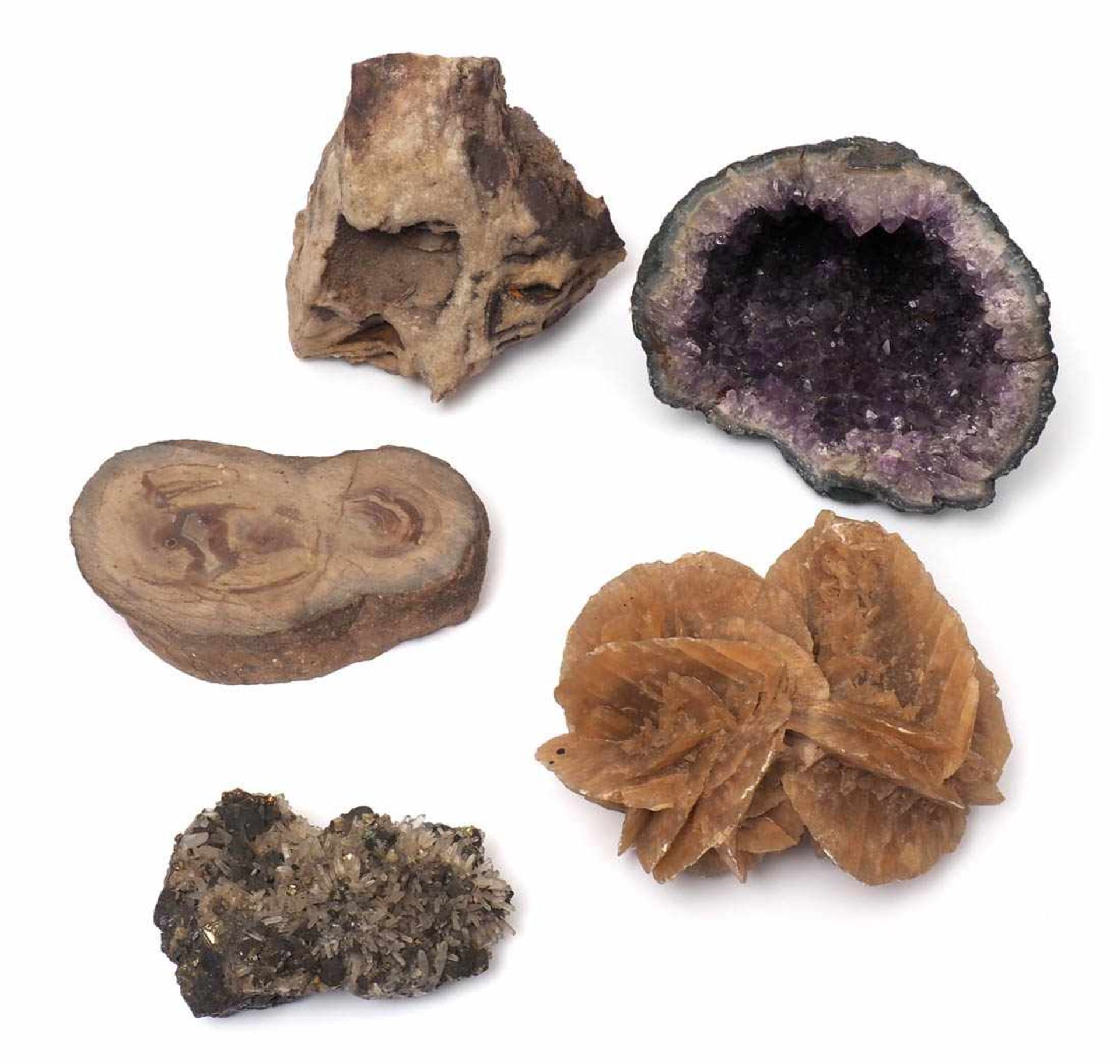Konvolut Mineralien Amethystdruse, Sandrose, Bleiglanz, versteinertes Holz und Quarzit.