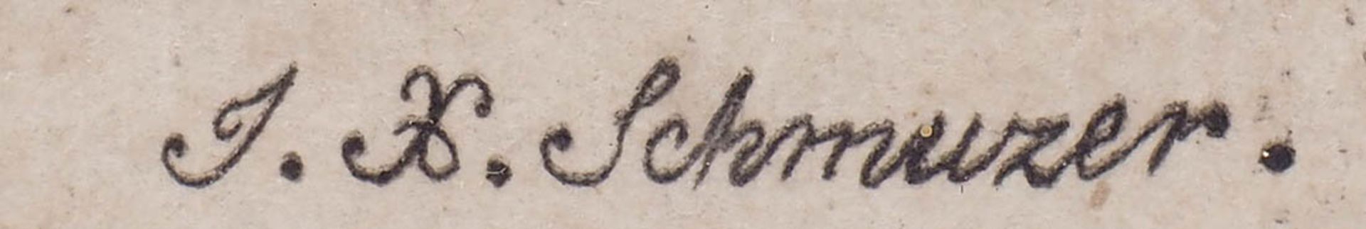 Schmuzer, Jakob Matthias, 1733 - 1811 Pflanzenstich, dazu ein ähnlicher. Altkoloriert, als - Image 4 of 4