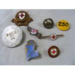 Small collection various metal Insignia and Pins