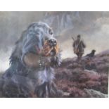 Framed Print after Mick Cawston, Spaniel