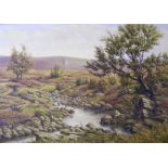 Lge Oil on Canvas, Landscape, signed S G Anderson