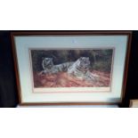 Large print 'White tigers, ever watchful' by A Gibbs limited edition 393/1550 signed in pencil by