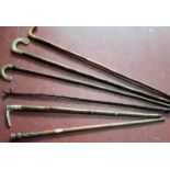 Selection of horn handled walking sticks