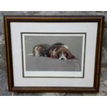 A limited edition print 335/850, Of a basset hound, signed by unknown artist, 40x50cm