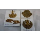 Lion on crown badge, Panther collar badge, Cameron badge & Australasia badge