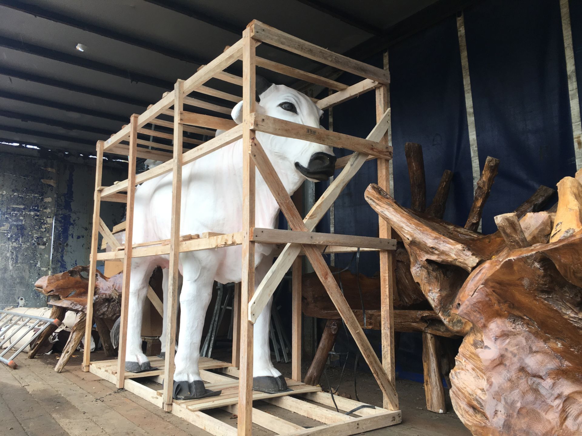 MASSIVE LIFESIZE STEER COW IN CRATE - Image 3 of 3