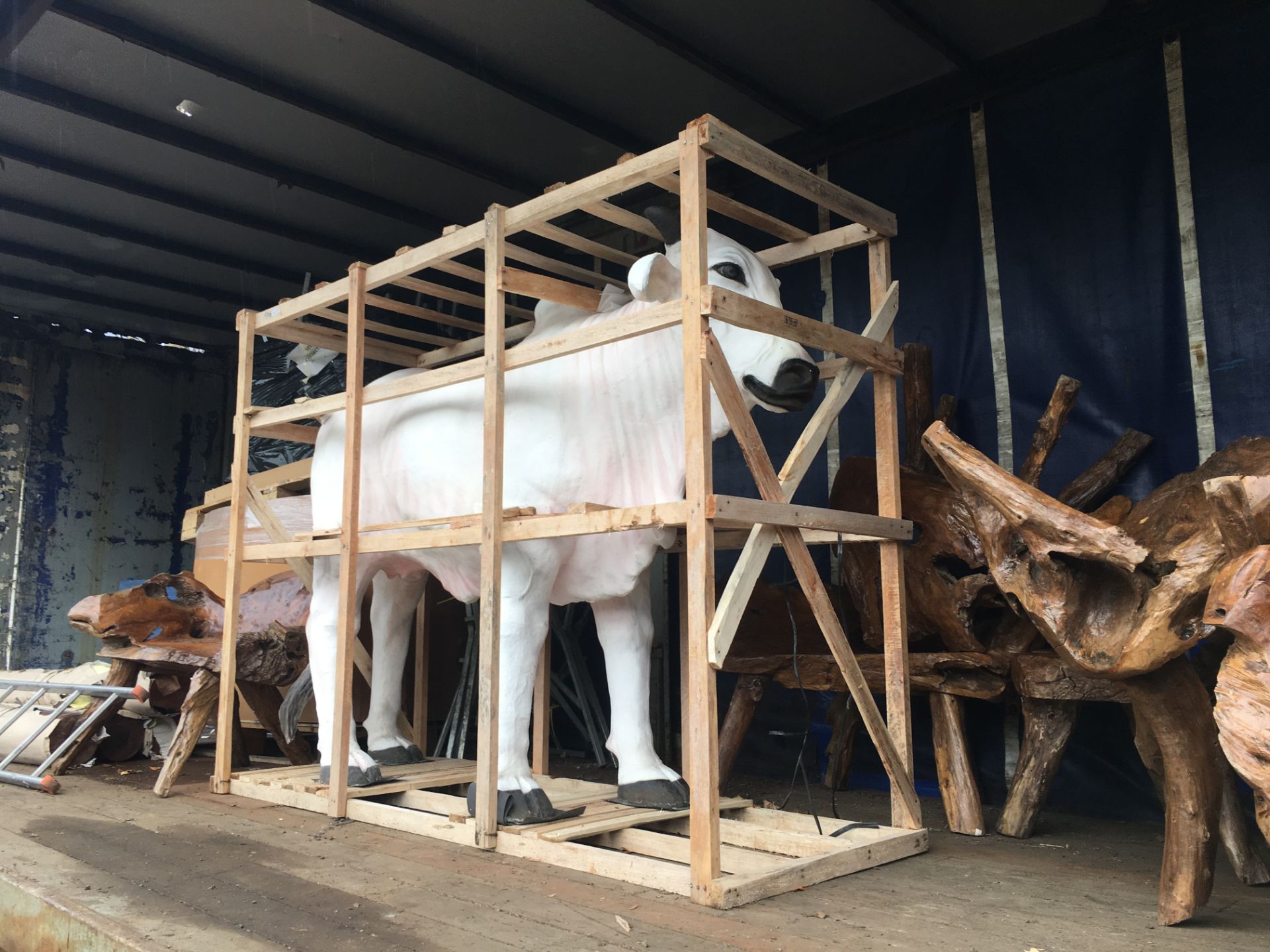 MASSIVE LIFESIZE STEER COW IN CRATE