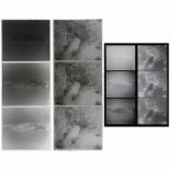 2 Dreifarben-Negative (nach System Miethe), um 1910–20 2 x 3 Glasplattennegative im Format 18 x 24