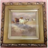 A porcelain panel, highland cattle scene, signed Hancock, 14cm x 14cm, framed