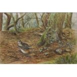 Graham Payne (20th Century)Game BirdsWatercolours, a pair Each 17cm x 24cm