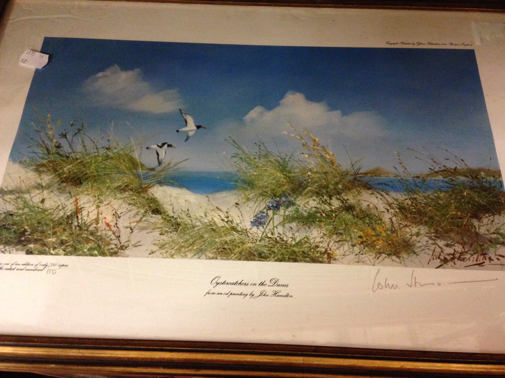 Four signed limited edition prints by John Hamilton, birds on beaches, other similar prints and