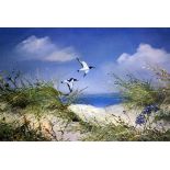 Four signed limited edition prints by John Hamilton, birds on beaches, other similar prints and