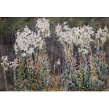 Emily Duncan (1880 - 1904)'Lilies'WatercolourUnsigned, inscribed verso24.5cm x 34.5cm;Brenda