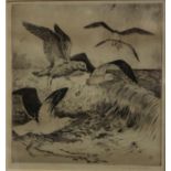 Winifred Marie L. Austen (1876-1964)Seagulls EtchingSigned in pencil to the margin22cm x 20.5cm