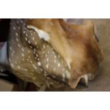 Assorted animal skins (AF)